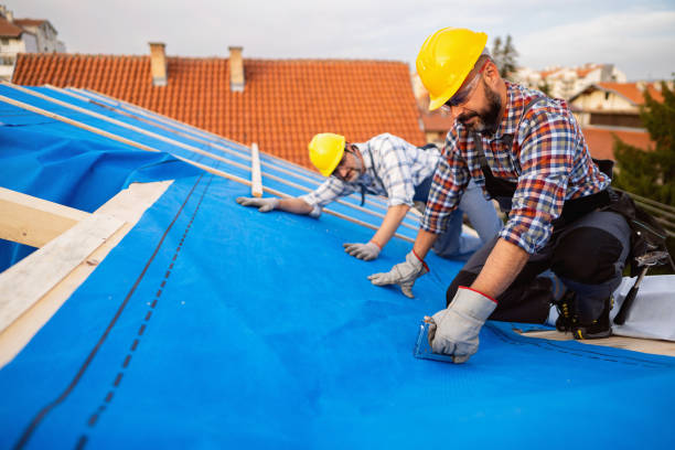 Best Metal Roofing Contractor  in Headland, AL