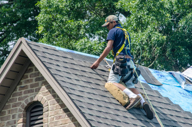 Best Roof Waterproofing Services  in Headland, AL